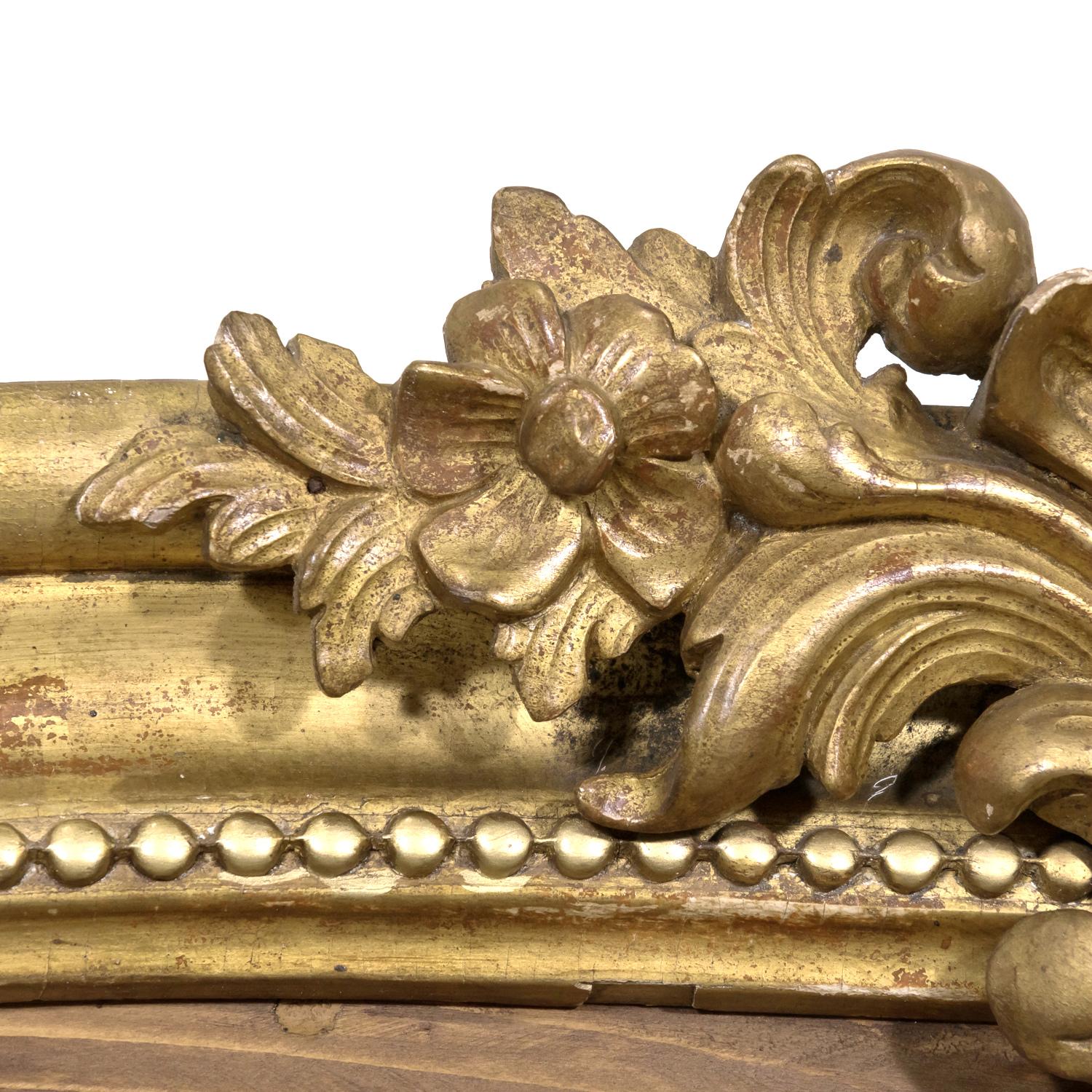 Paar französische industrielle Ausstellungsregale aus dem 19. Jahrhundert mit vergoldeten Holzpelzen   im Angebot 2