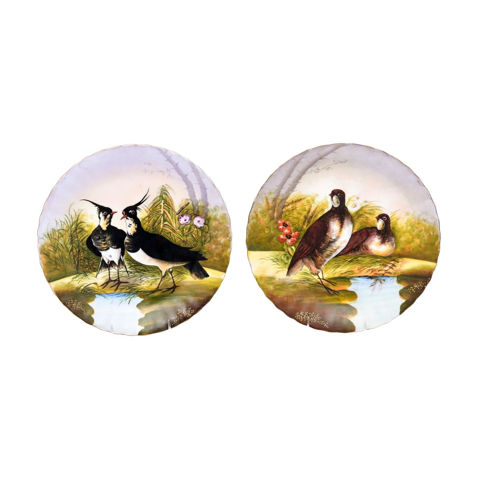 A pair of French Limoges porcelain decorative plates from the 20th century, depicting birds. Created in southwest central France during the 20th century, this pair of Limoges porcelain plates attracts our attention with its delicate décor showcasing