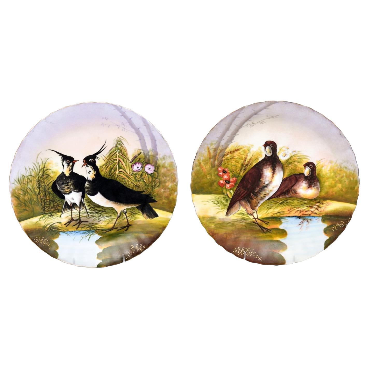 Paar französische Limoges-Porzellan-Dekoteller mit Paaren von Vögeln im Angebot