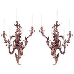 Pair of French Louis XV Bronze Dore Large Wall Sconces