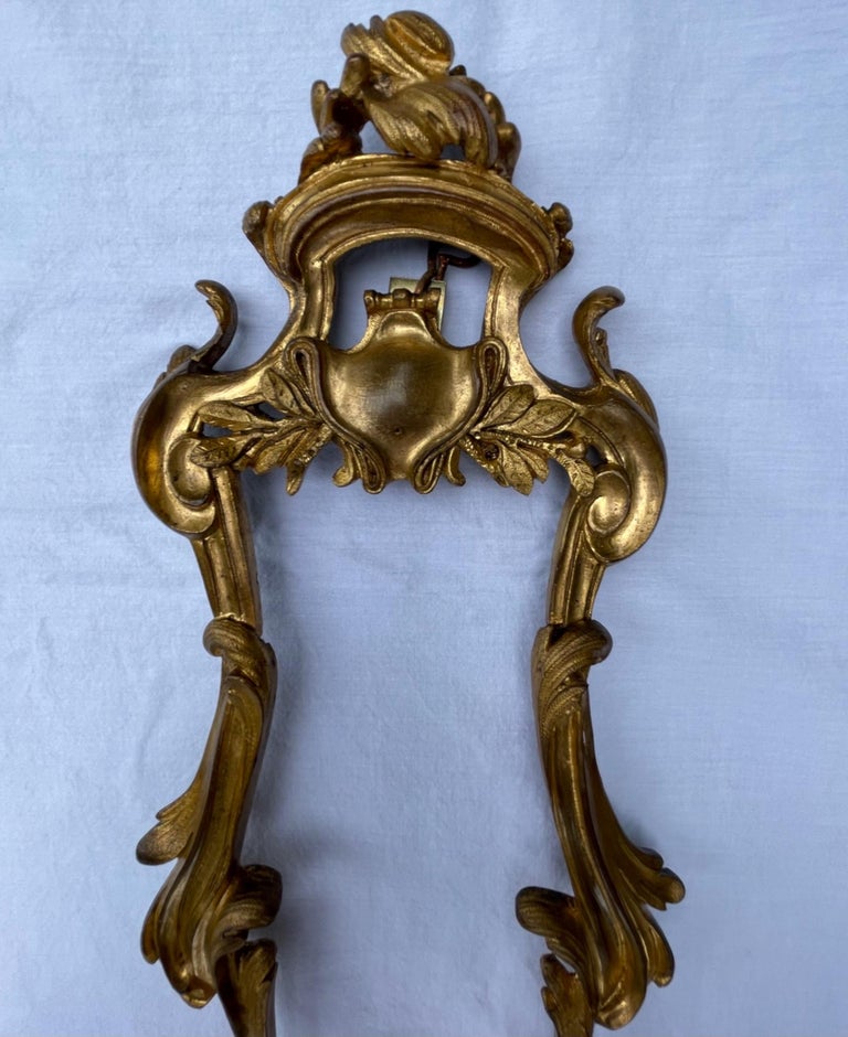 19th Century Pair of French Louis XV Style Bronze Four Light Sconces For Sale