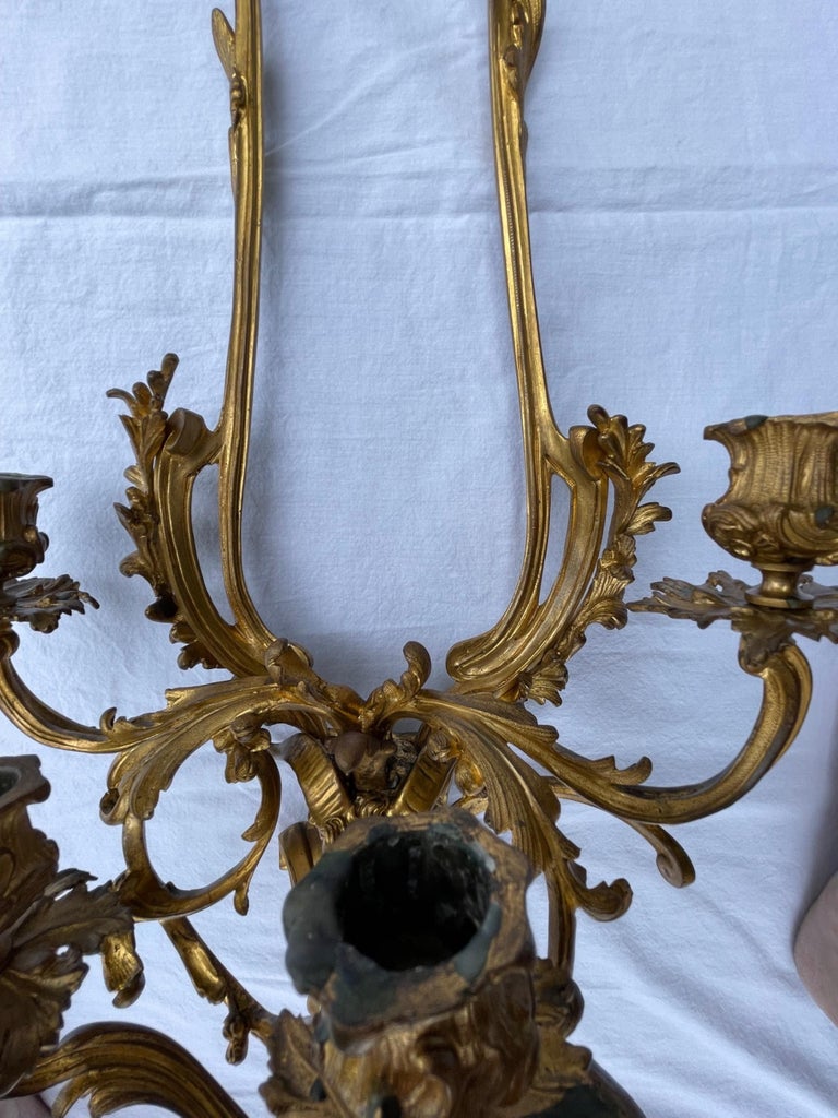 Pair of French Louis XV Style Bronze Four Light Sconces For Sale 2