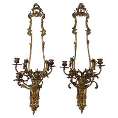 Antique Pair of French Louis XV Style Bronze Four Light Sconces