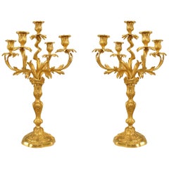 Pair of French Louis XV Style Five-Light Gilt Bronze Candelabras