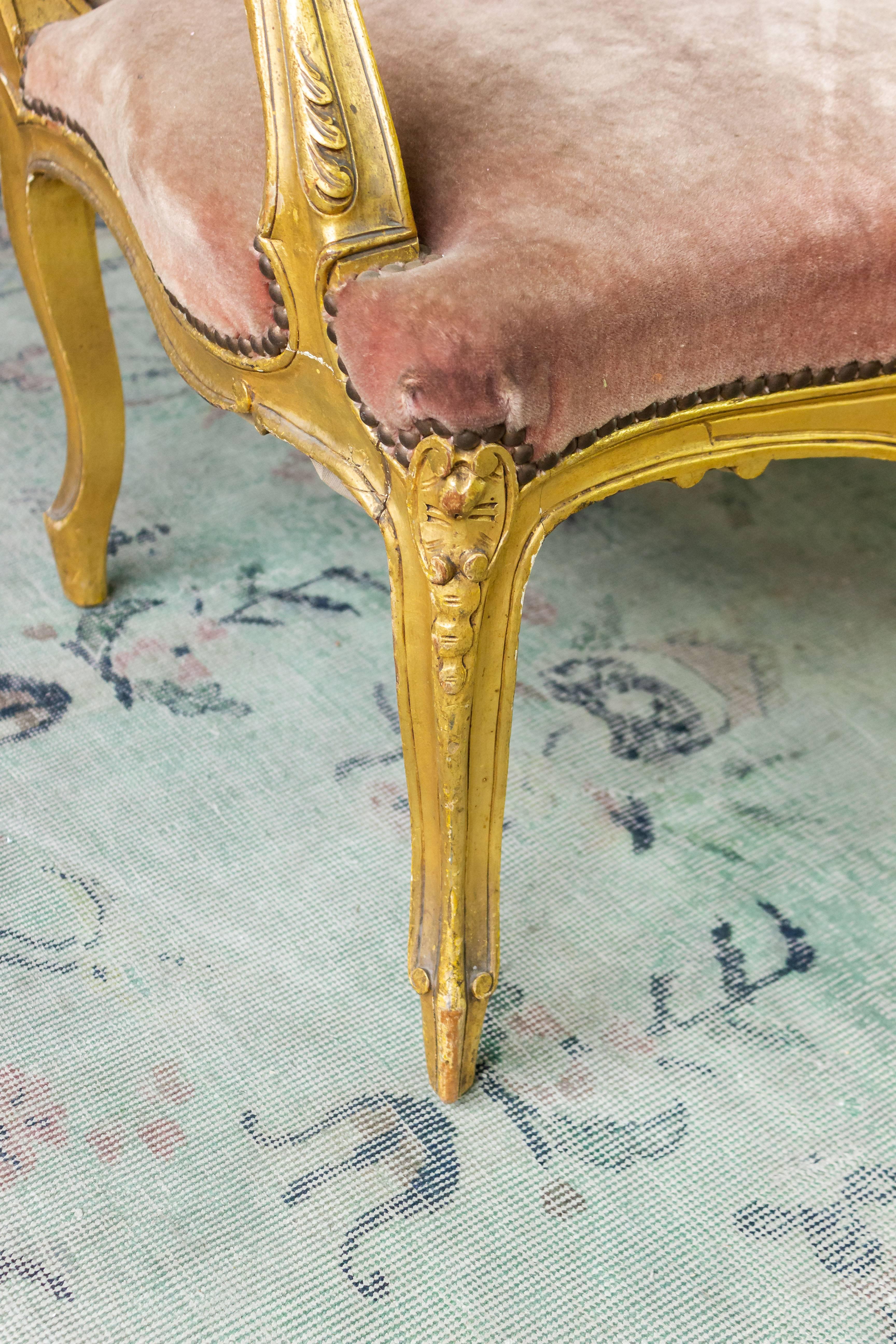 Pair of French Louis XV Style Gilt Armchairs in Faded Salmon Velvet 6
