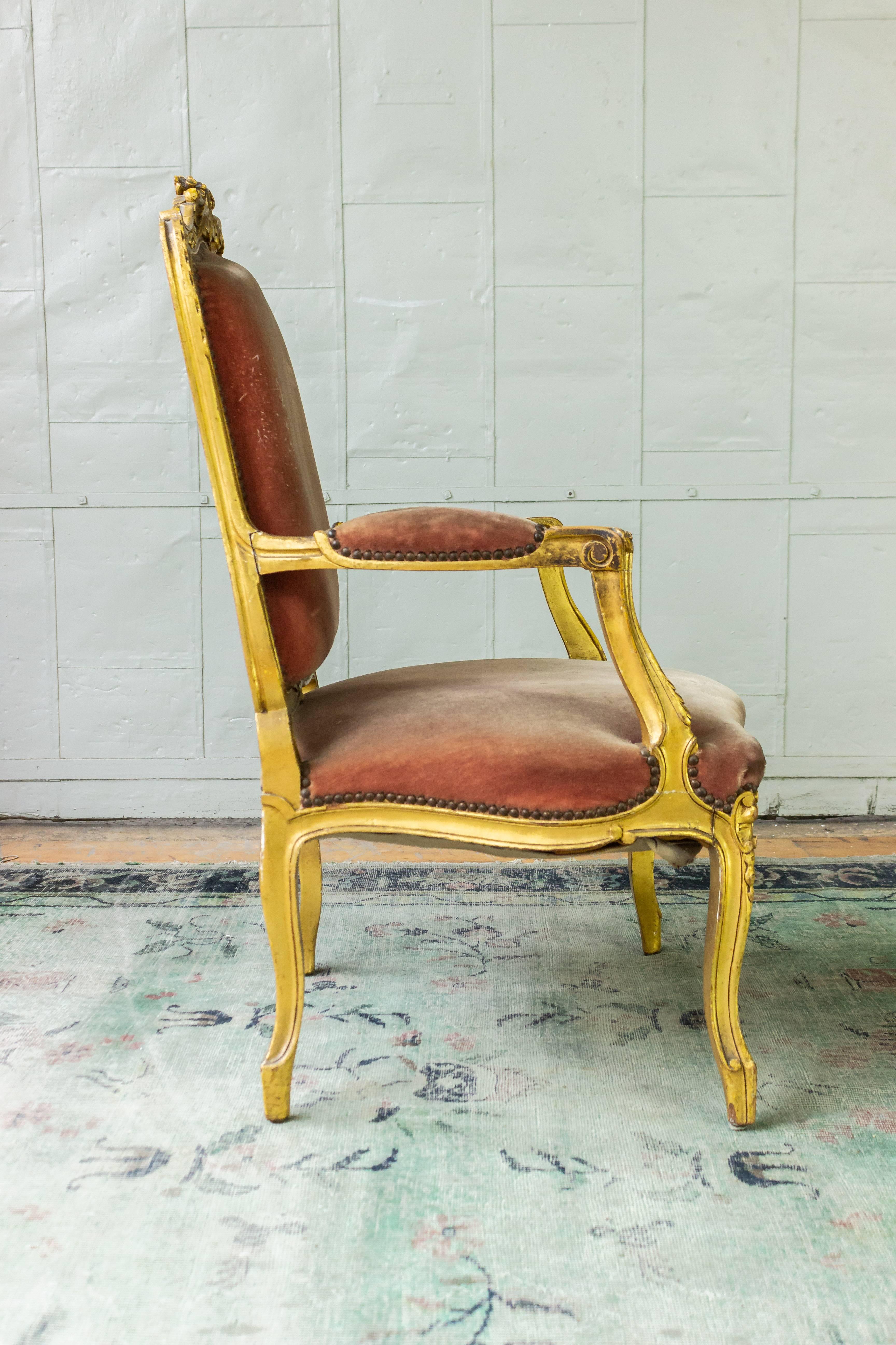 Pair of French Louis XV Style Gilt Armchairs in Faded Salmon Velvet 2