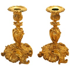 Pair of French Louis XV Style Gilt Bronze Candlesticks