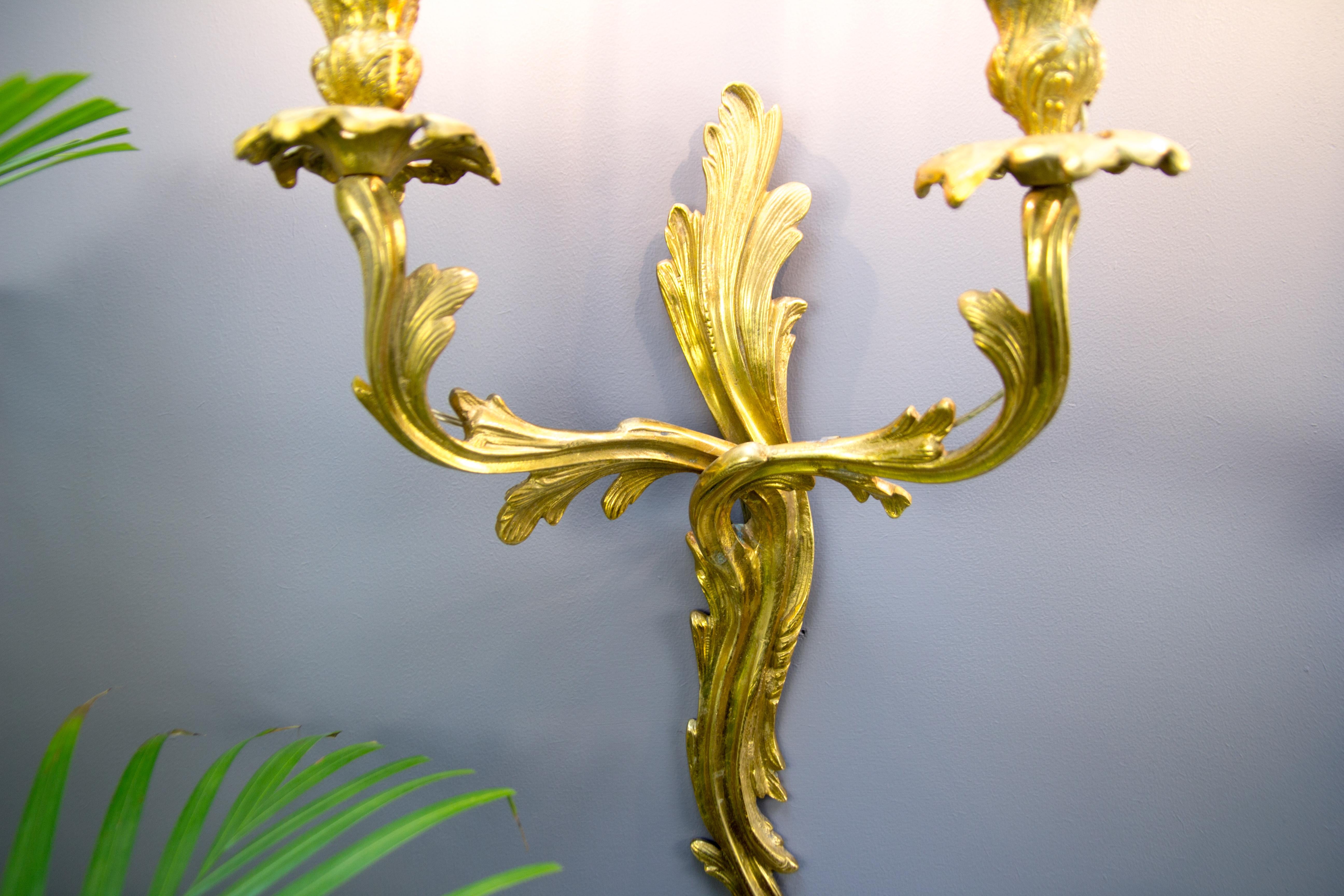 Pair of French Louis XV Style Two-Light Gilt Bronze Sconces, 1930s 3