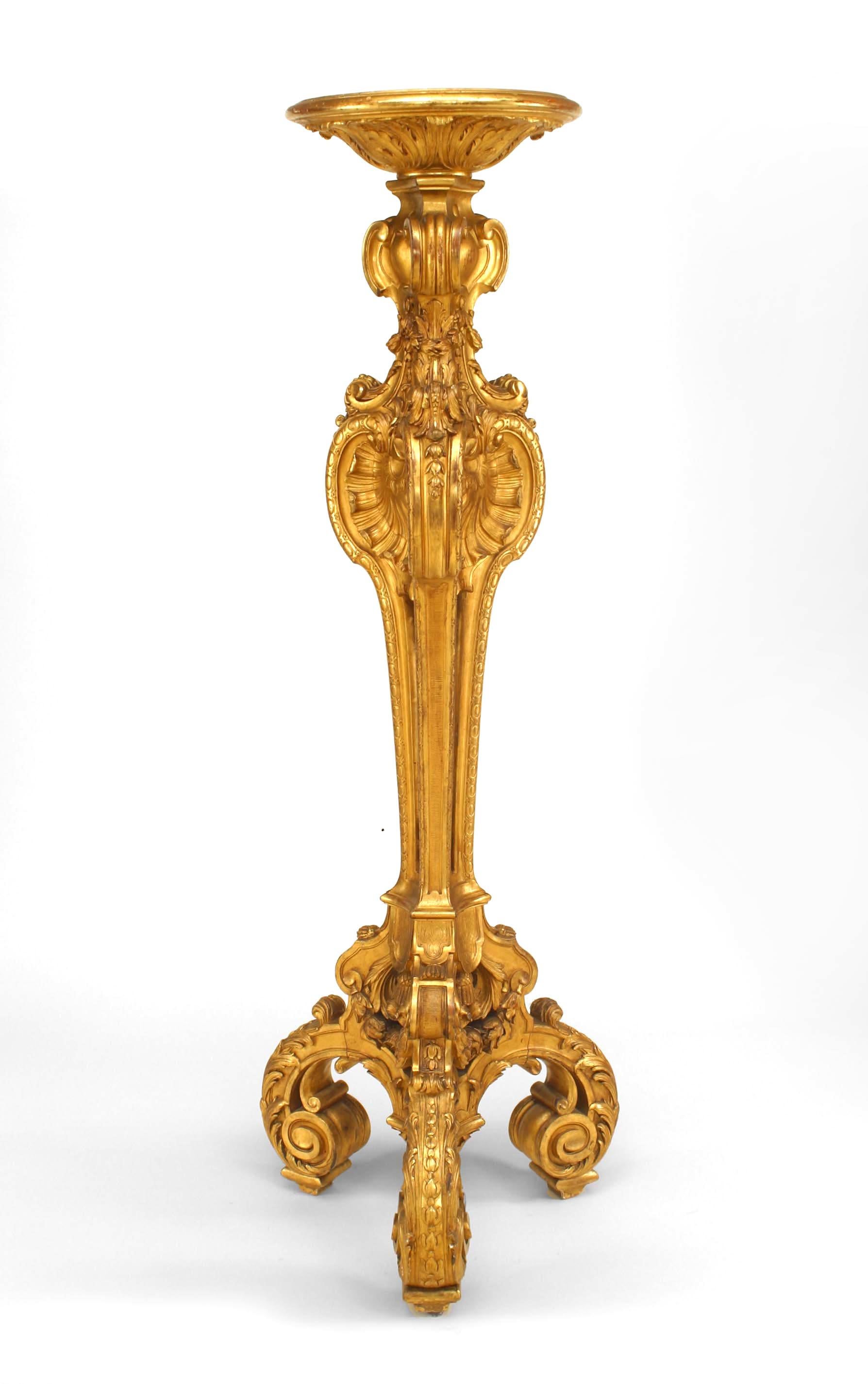 Pair of French Louis XV style (19th Cent) large gilt triple scroll leg pedestals with shell motif and round top.

