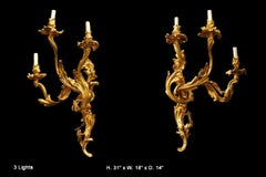 Pair of French Louis XV Style Ormolu Sconces, 19th Century