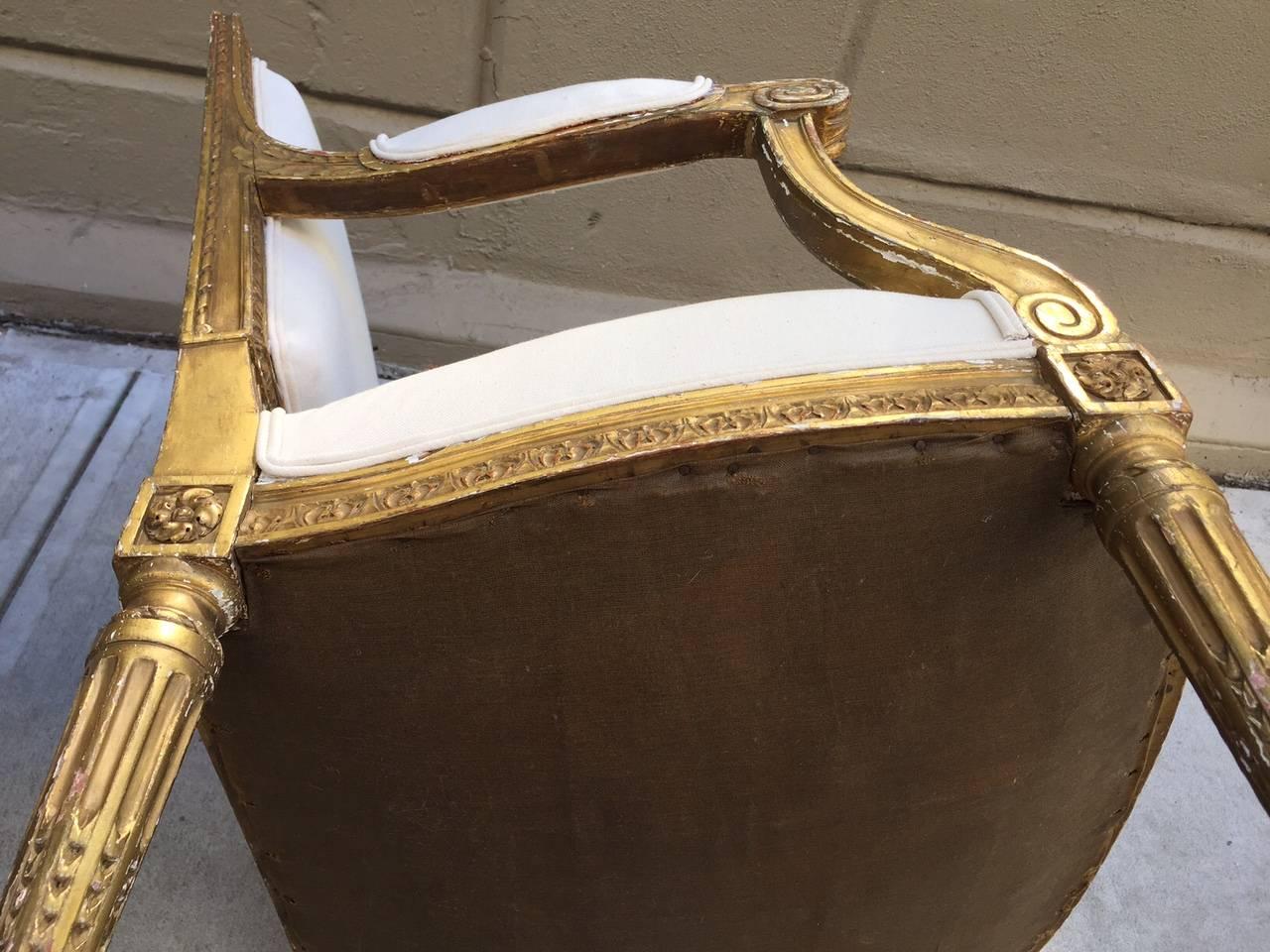 Coppia di sedie francesi in stile Luigi XVI del XIX secolo in legno dorato e intagliato in vendita 3
