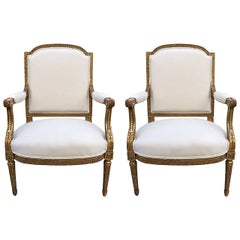Pair of French Louis XVI Style 19th Century Giltwood Carved Chairs