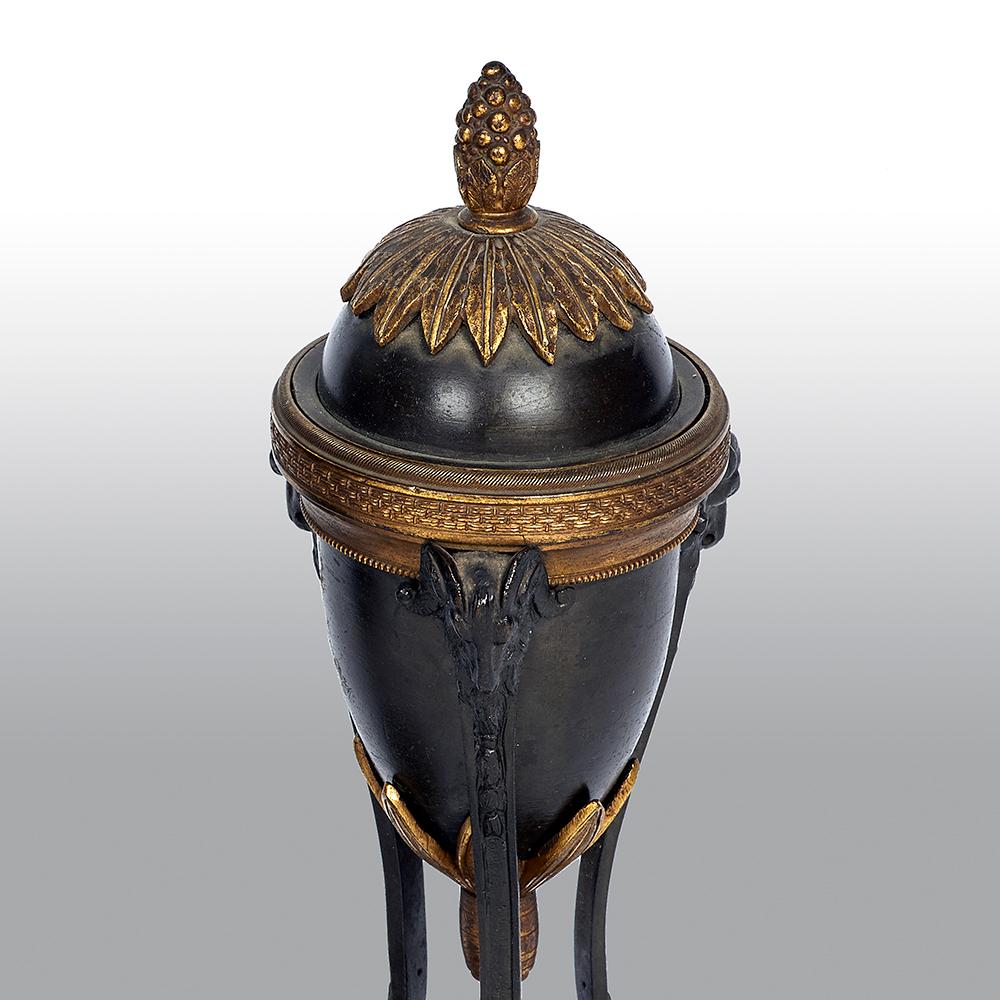 19th Century Pair of French Louis XVI Style Bronze and Ormolu Cassolettes For Sale