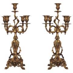 Pair of French Louis XVI Style Bronze Five Branch Candleholders, Candelabra
