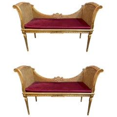 Pair of French Louis XVI Style Carved and Giltwood Cane Benches