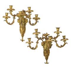 Antique Pair of French Louis XVI Style Gilt Bronze Five-light Wall Sconces