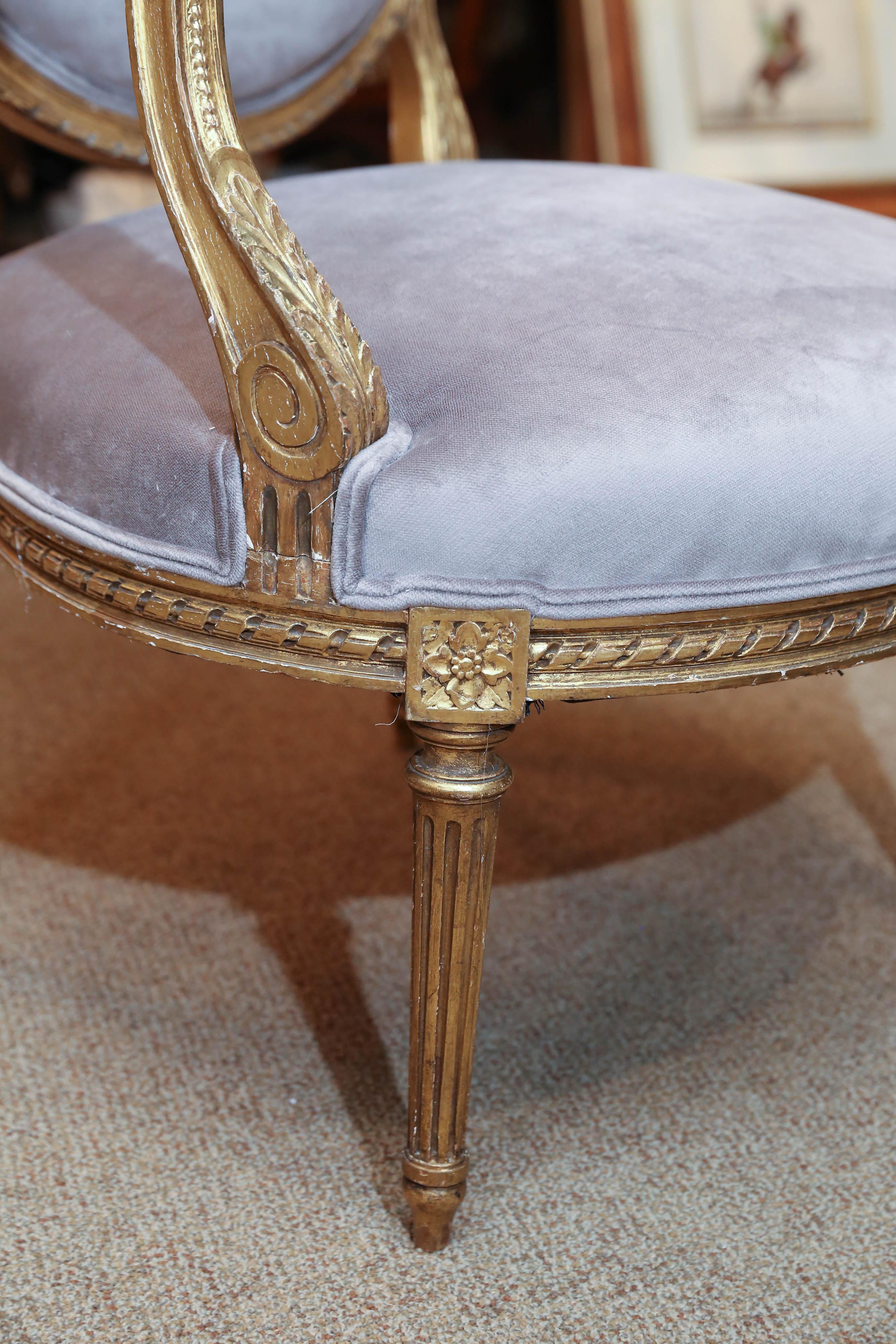 Lovely pair of giltwood chairs in the Louis XVI style having an oval padded
back surmounted by a carved bow motif, joined by padded outscrolled arms
to the padded seat, raised above reeded and tapered legs. New pale gray velvet upholstery.
 