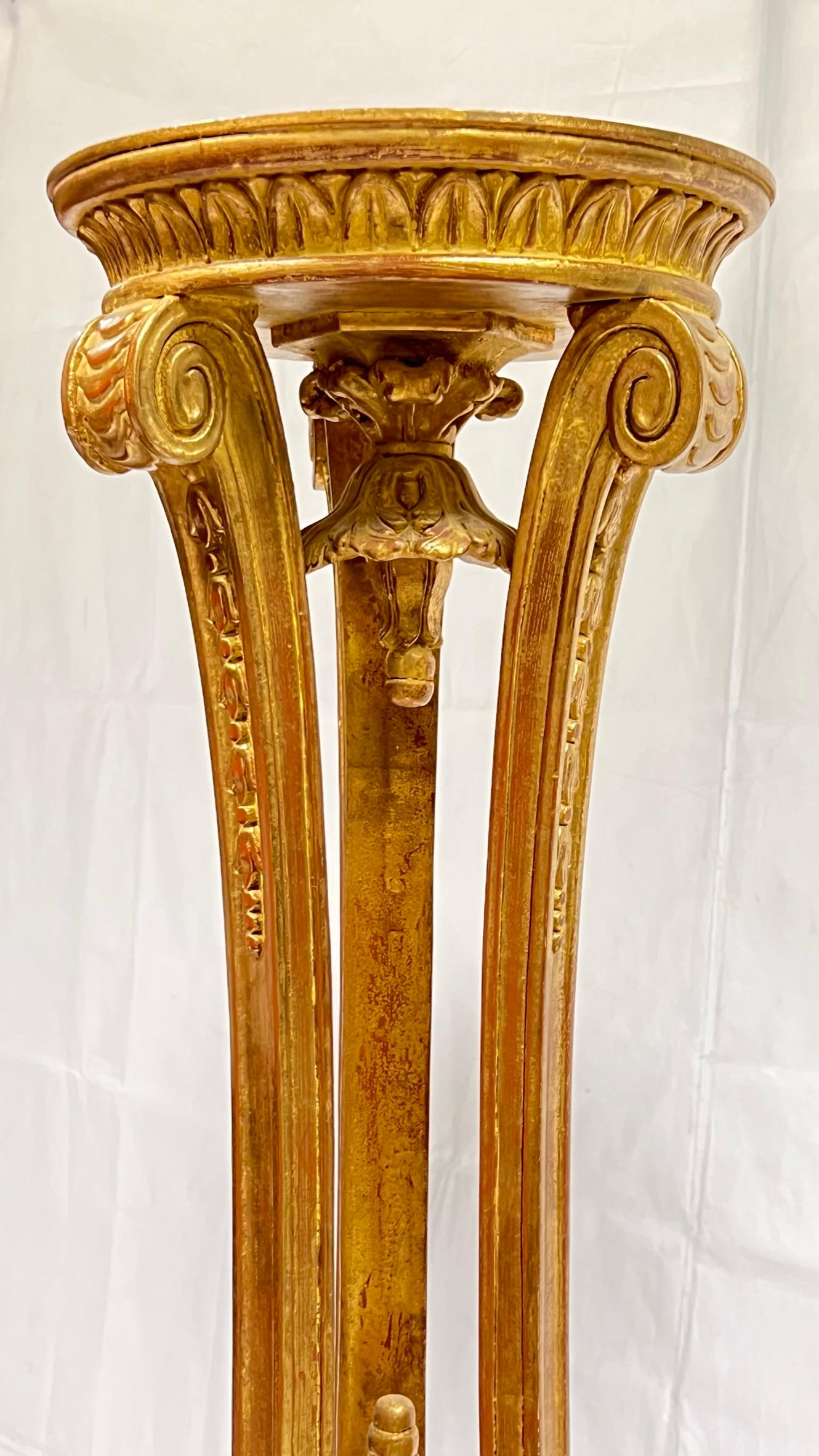Pair of French Louis XVI style  Giltwood Plant or Candle Stands 2