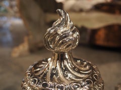 Pair of French Louis XVI Style Silvered Bronze Chenets, circa 1900