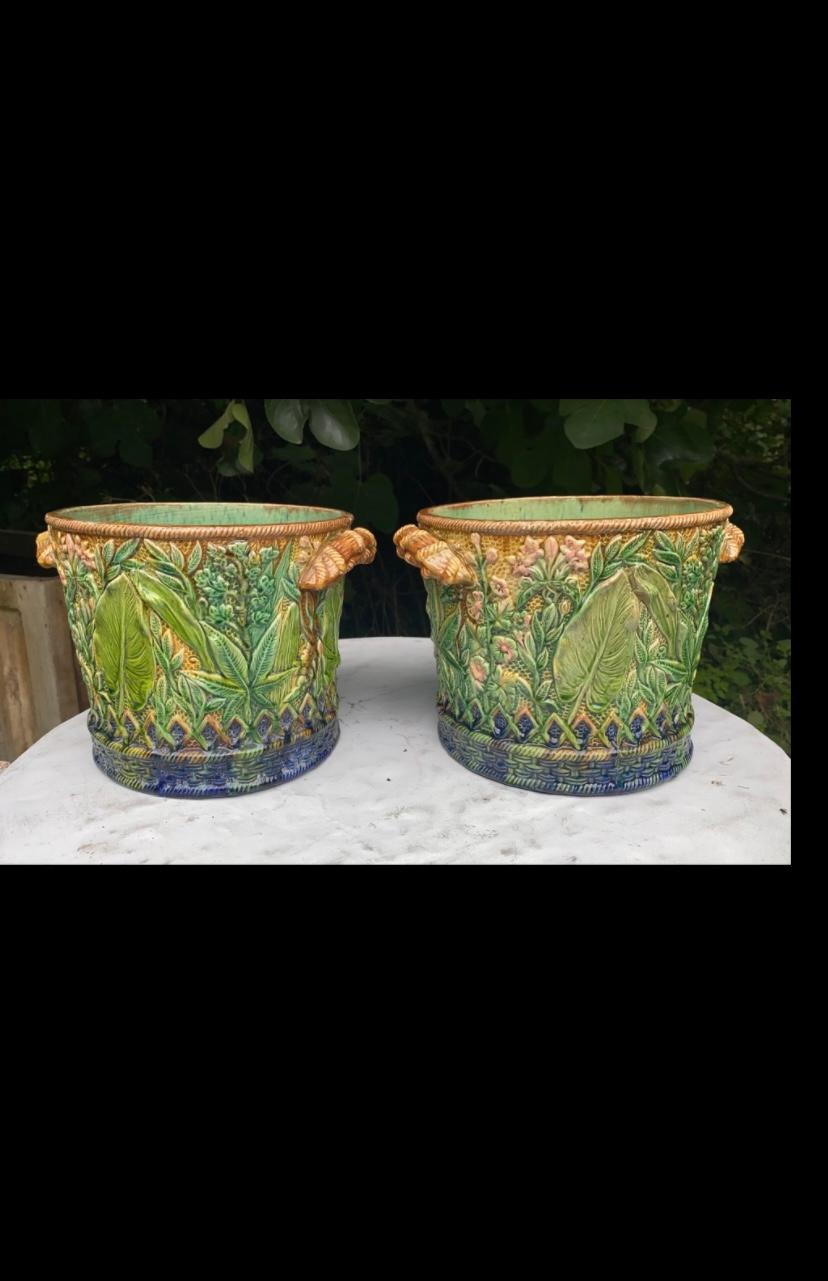 Rare pair of French Majolica naturalistic caches pots circa 1880.
Decorated with leaves , pink flowers and branches handles.