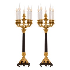 Pair of French Mid-19th Century Neoclassical Bronze, Ormolu and Marble Lamps