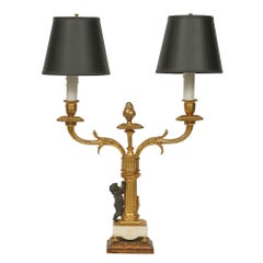 Pair of French Mid-19th Century Two-Arm Candelabras Mounted into Lamps