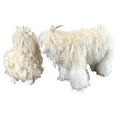 Coppia di sculture di pecore francesi della metà del secolo scorso nello stile di Peter Marino