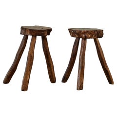Pair of French Midcentury Live Edge Burled Wood Tables or Stools