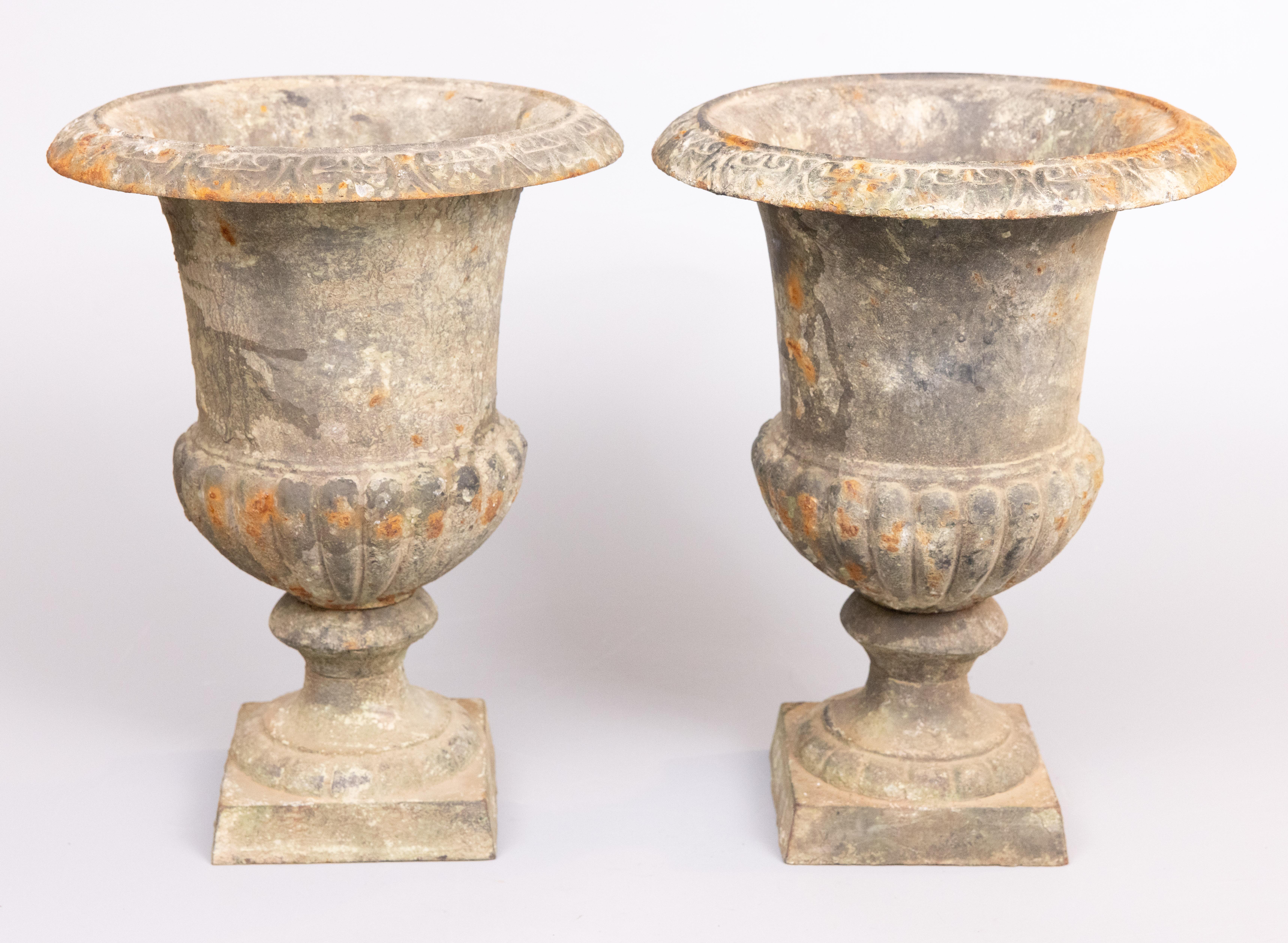 Une paire élégante d'urnes de jardin ou de jardinières en fonte française classique, d'époque, avec une belle surface et patine d'origine, vers 1940. Ces belles jardinières sont de grande taille, solides et lourdes, avec une belle patine d'usage.
