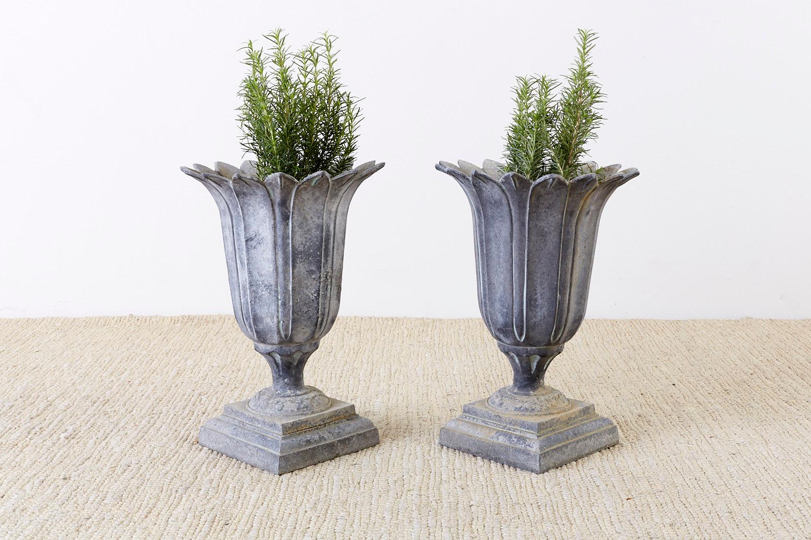 tulip urn planter