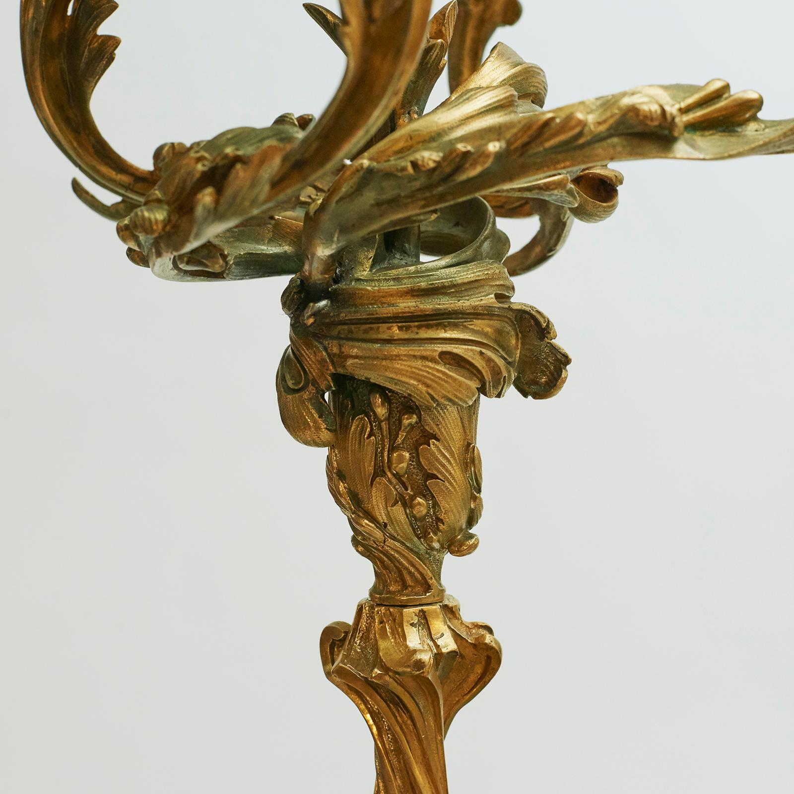 19th Century Pair of French New Rococo Gilt Bronze Candelabra with 5 Arms