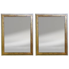 Pair of French Painted Mirrors  