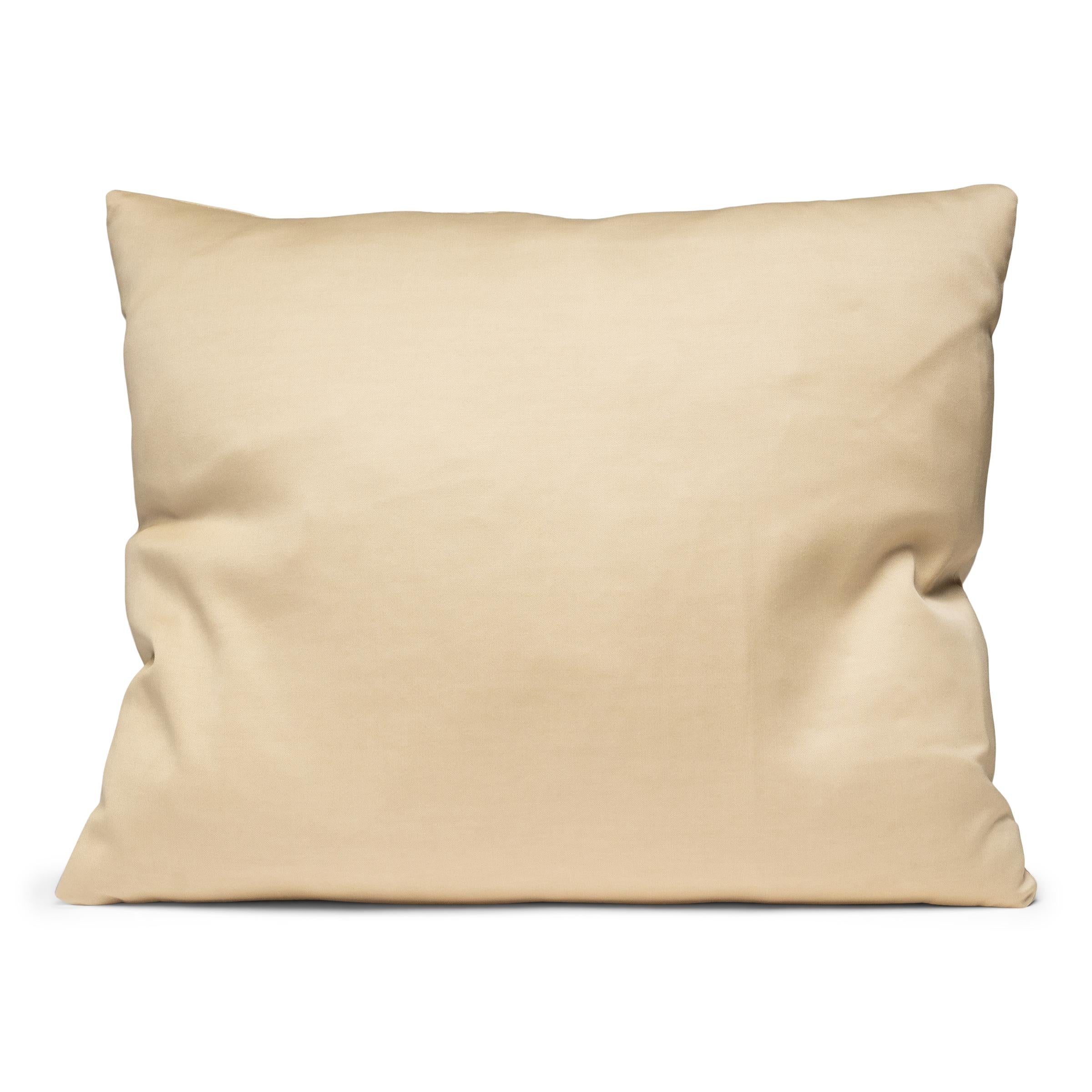 Pair of French Petit Point Pillows For Sale 2