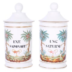 Pair of French Porcelain Apothecary Jars