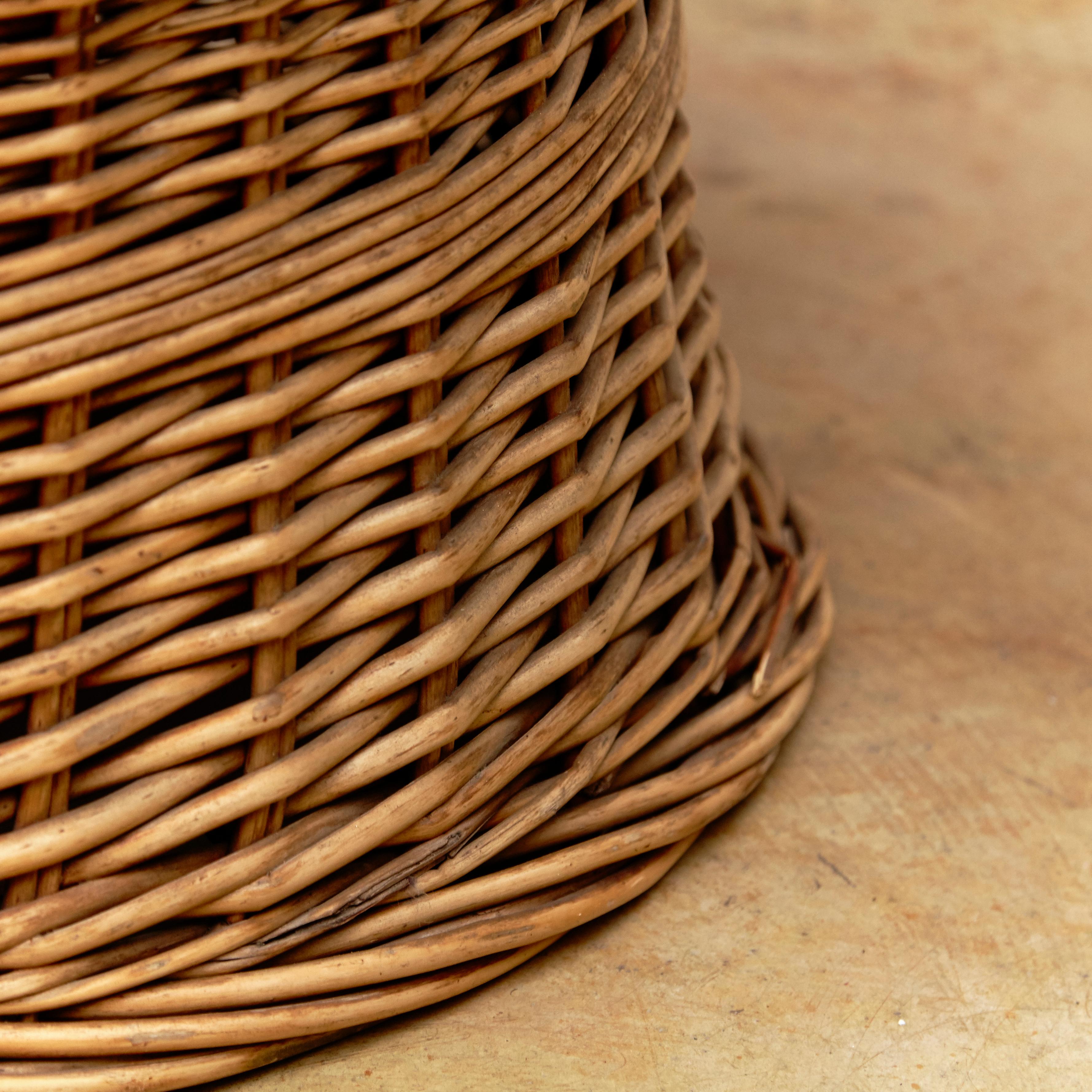 Pair of French Rattan Egg Mid-Century Modern Easychairs, circa 1960 10