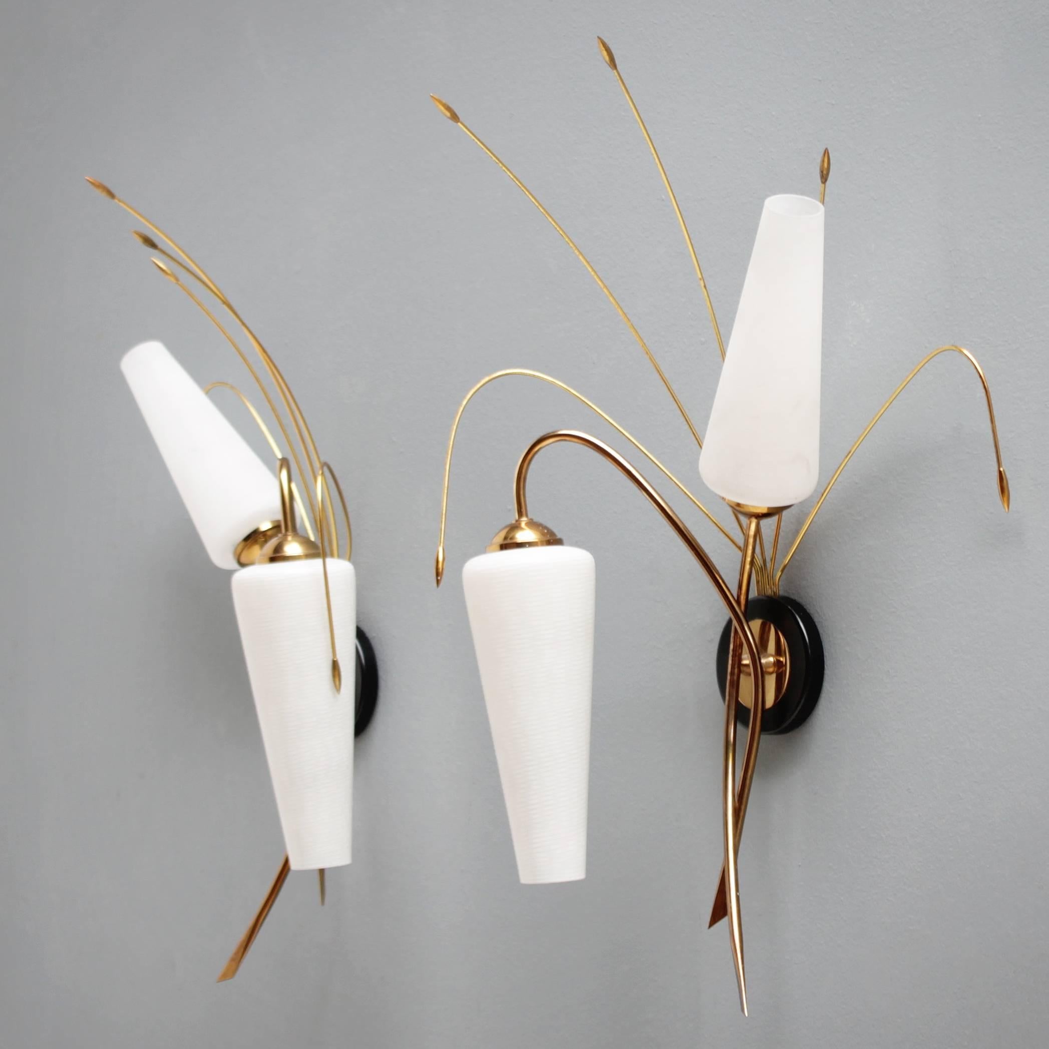 Mid-Century Modern Pair of French Sconces attributed by Maison Arlus