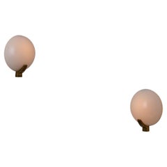 Pair of French Sconces by Jean Perzel