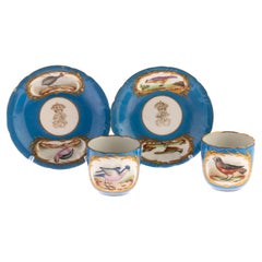 Pair of French Sevres Bleu Celeste Porcelain Exotic Birds Teacups