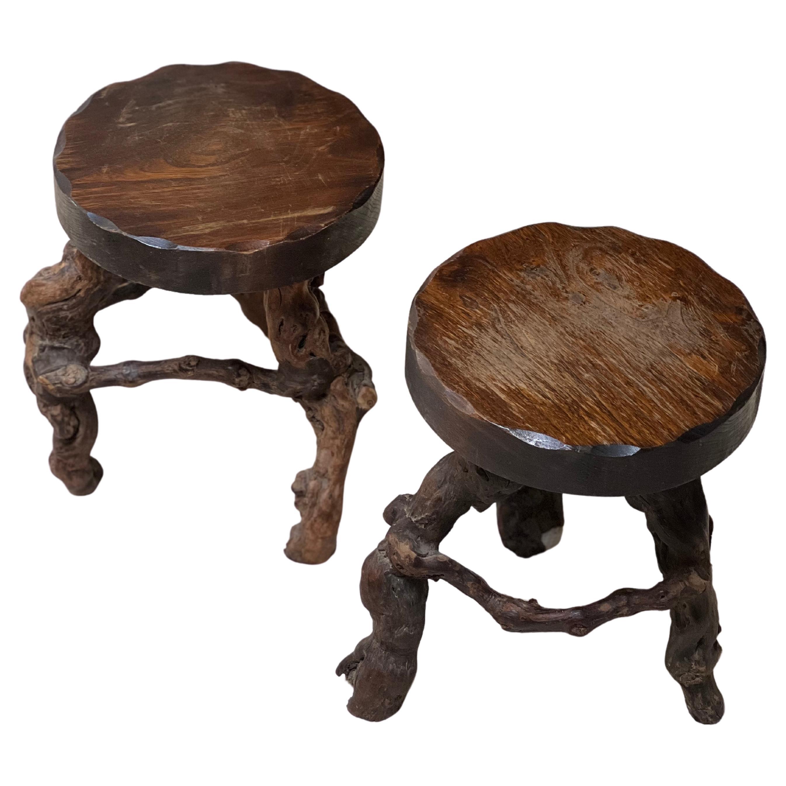 Pair of French Stained Wooden Stool with vine roots circa 1950 Brutalist For Sale
