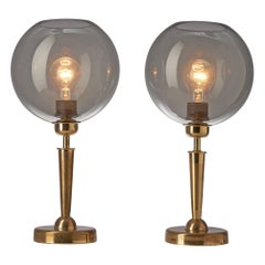 French Table Lamps in Brass and Smoked Glass