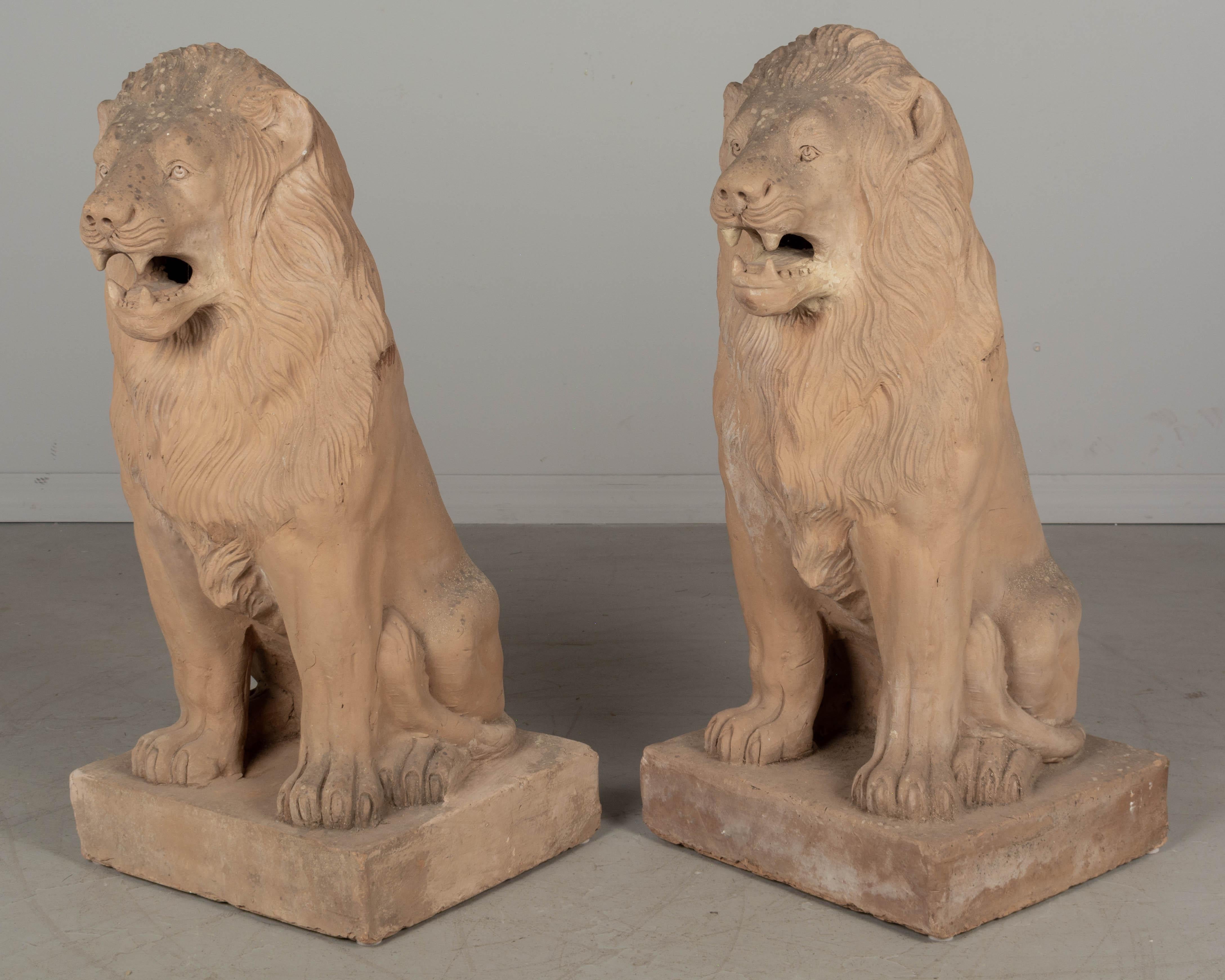 Paire de lions de jardin en terre cuite du début du XXe siècle, provenant d'Auch, dans le sud-ouest de la France. Quelques restaurations mineures au fil des ans. 
Circa 1900-1920.
Dimensions : 35 