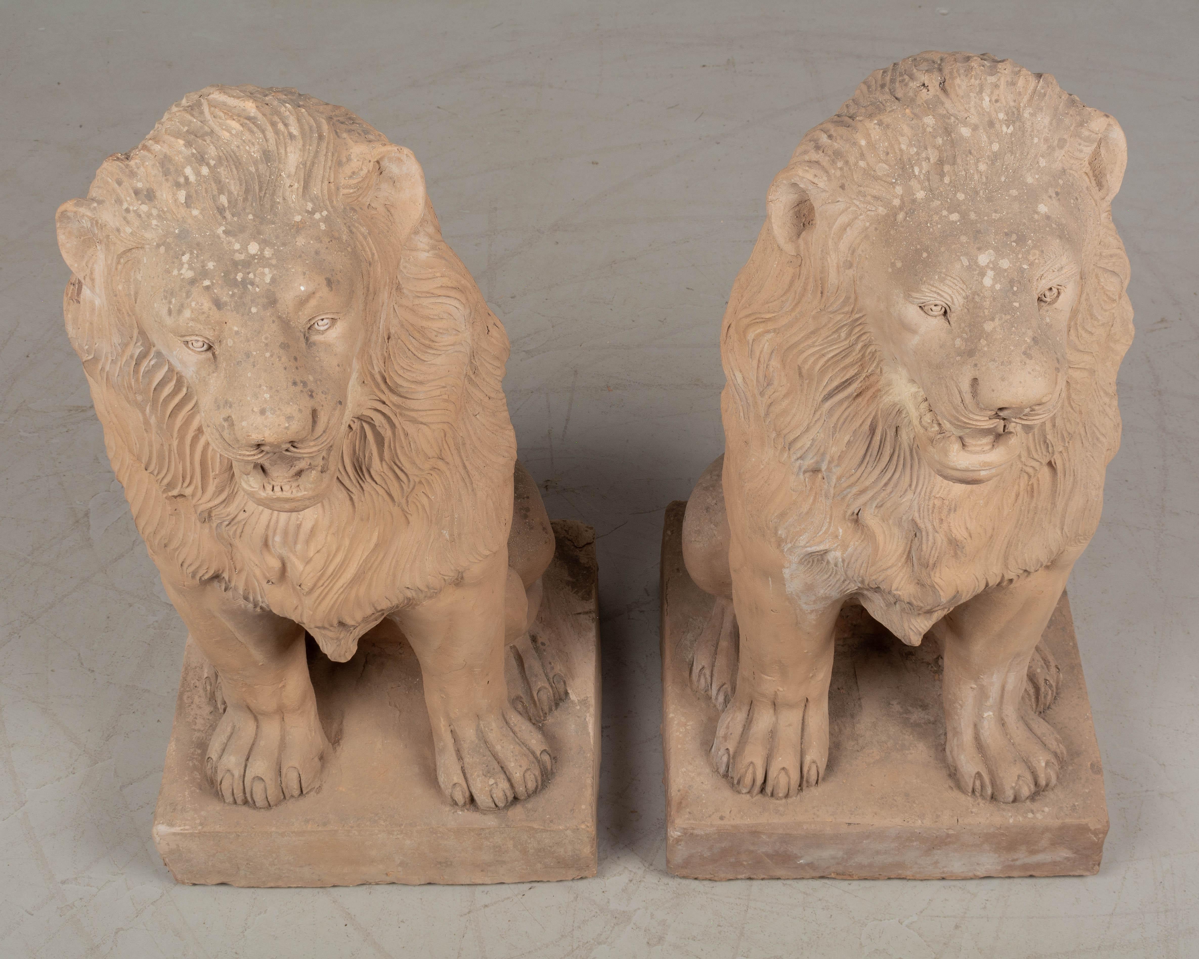 Paire de lions de jardin français en terre cuite en vente 1