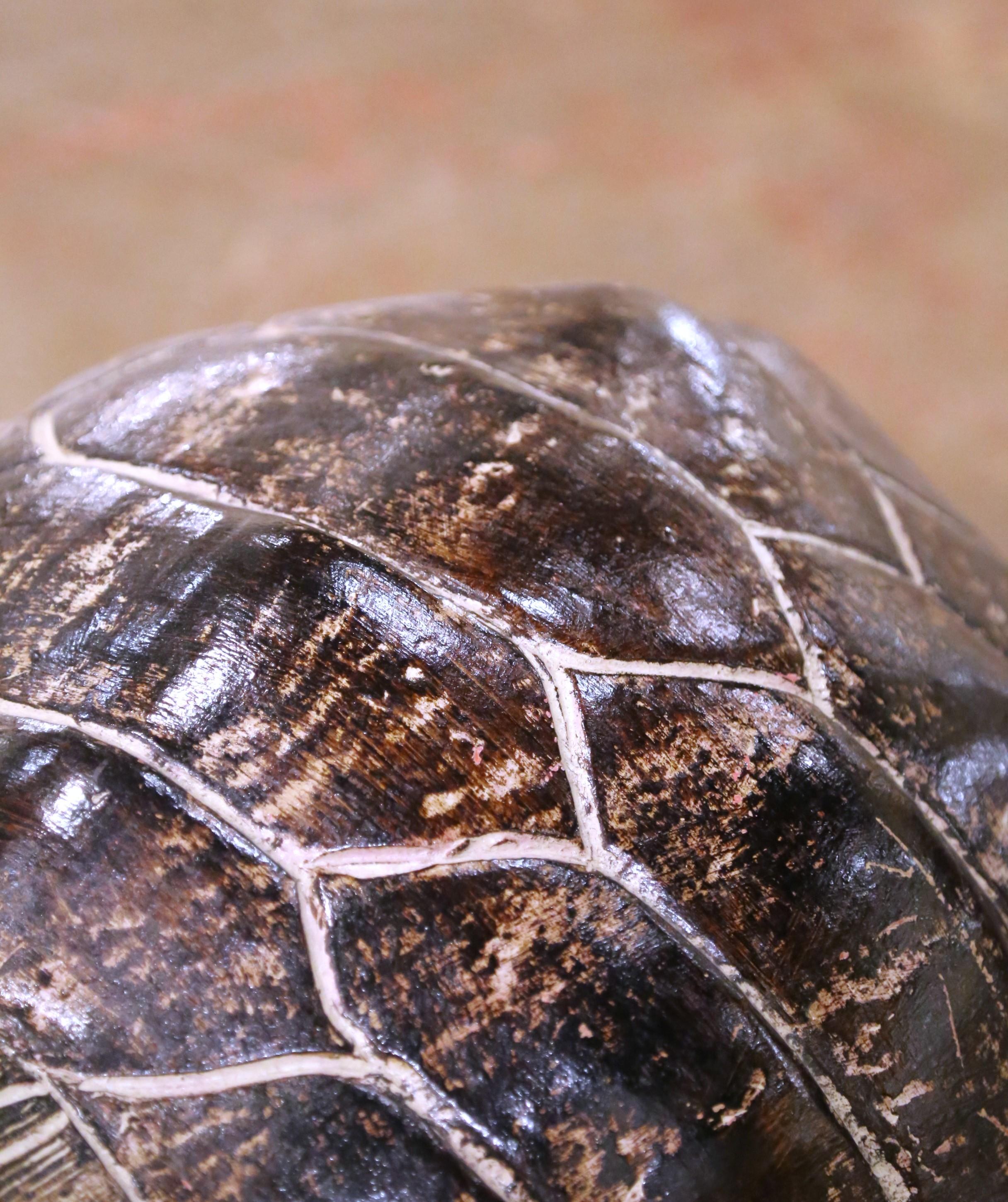 Pair of French Terracotta Turtle Sculptures with Aged Patina For Sale 1