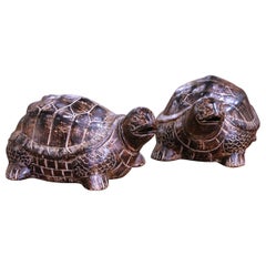 Pair of French Terracotta Turtle Sculptures with Aged Patina