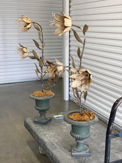 Pair of French Tole Iron Lillies in Planters, Late 19th/ Early 20th Century