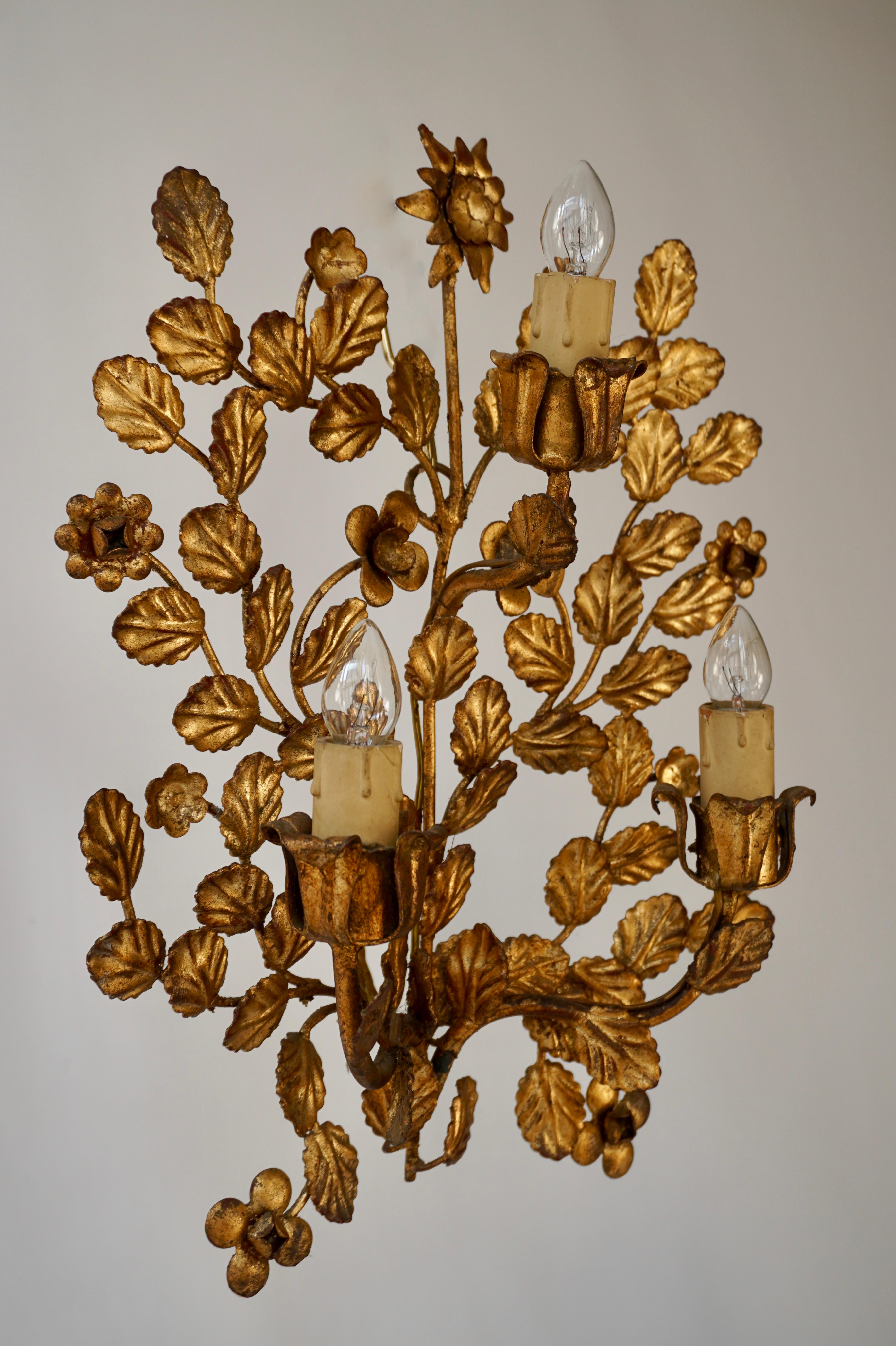 A pair of French toleware gilded wall lights.

These are very pretty wall lights, the brass sconces are decorated with flowers and curled leaves.

Height 38 cm.
Width 28 cm.