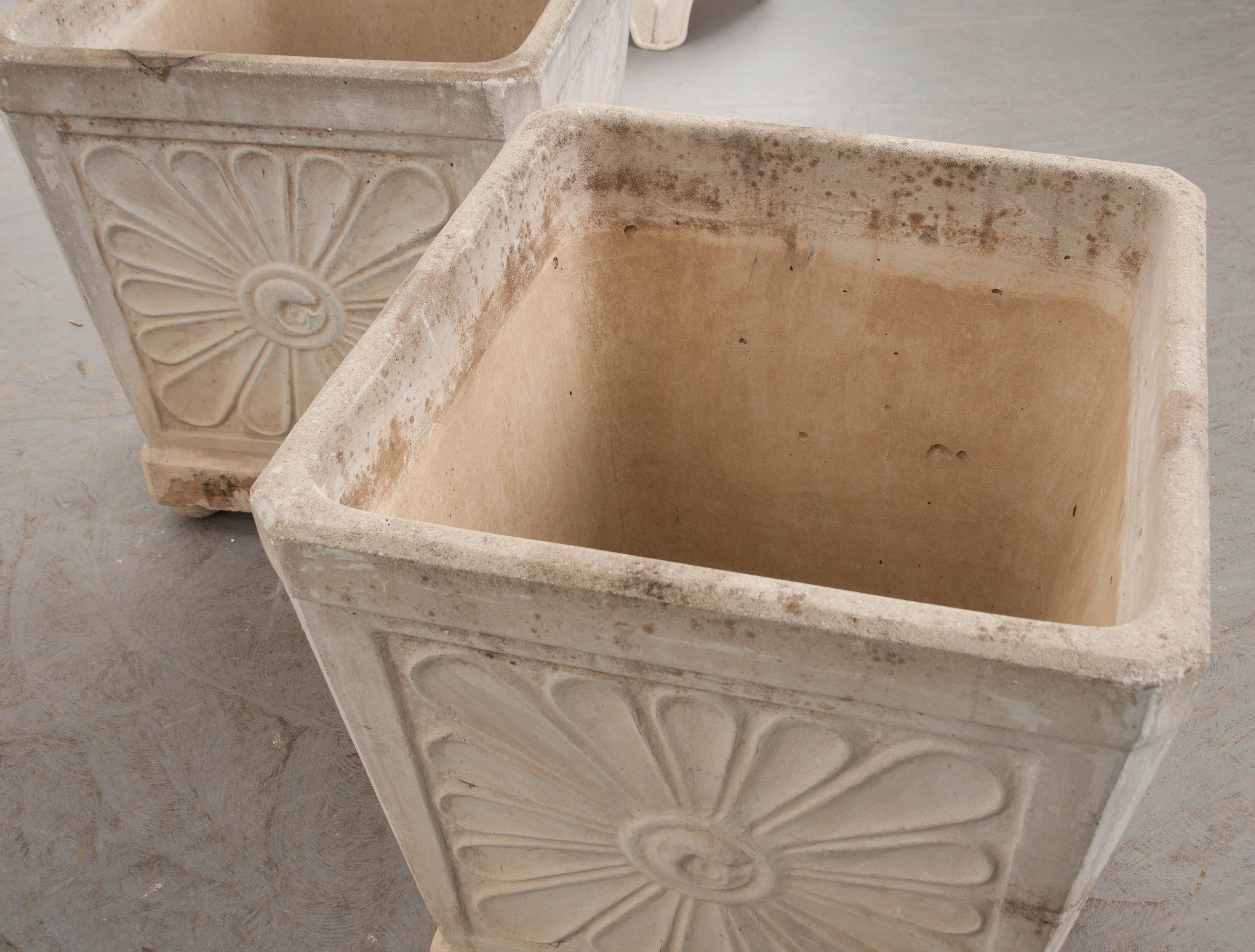 Pair of French Vintage Concrete Planters 6