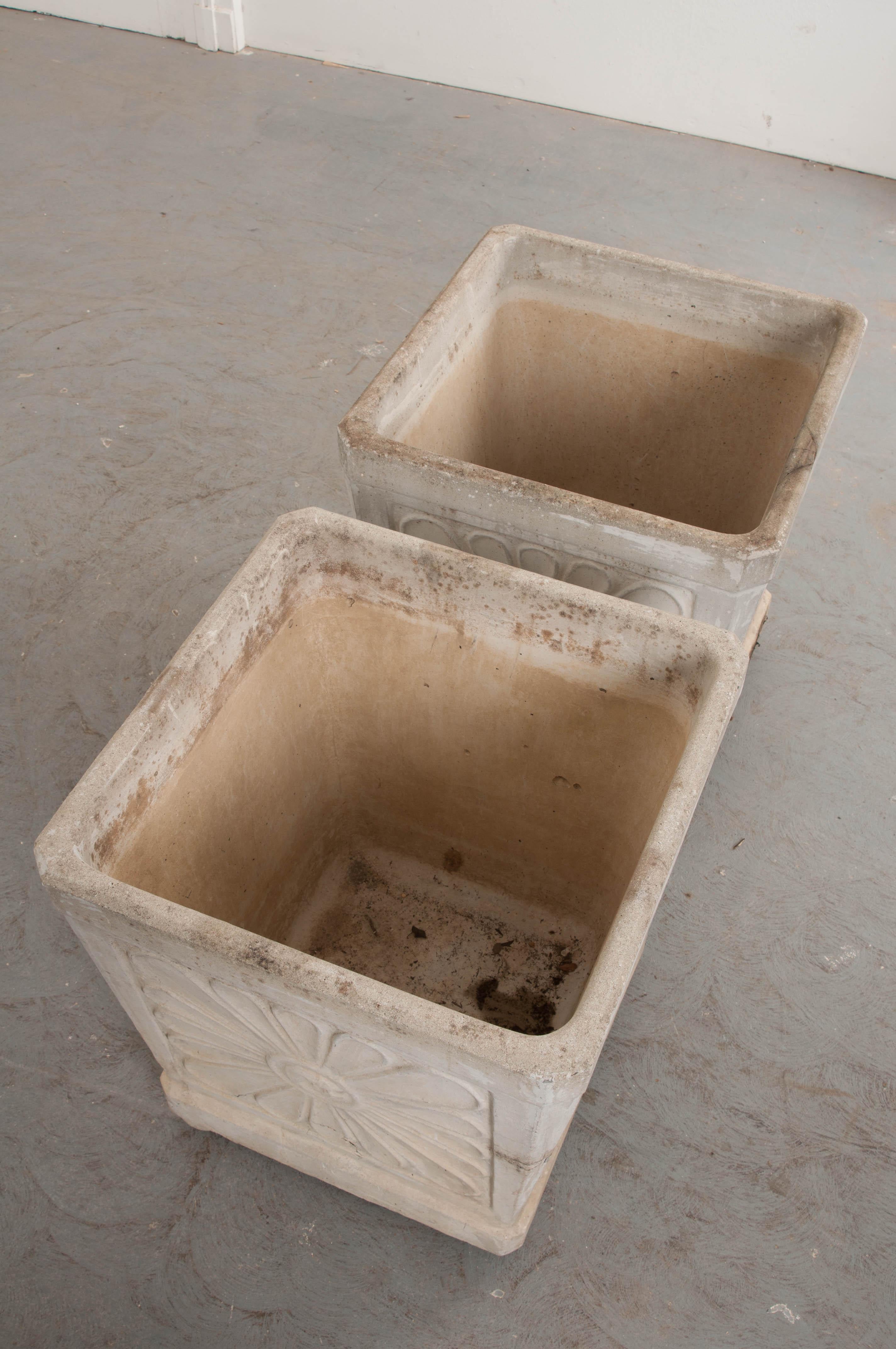 Pair of French Vintage Concrete Planters 4