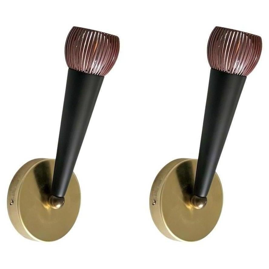 Pair of French Vintage Mid Century Wall Lights Sconces, 1950s