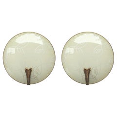 Pair of French Retro Midcentury Wall Lights Sconces, 1950s